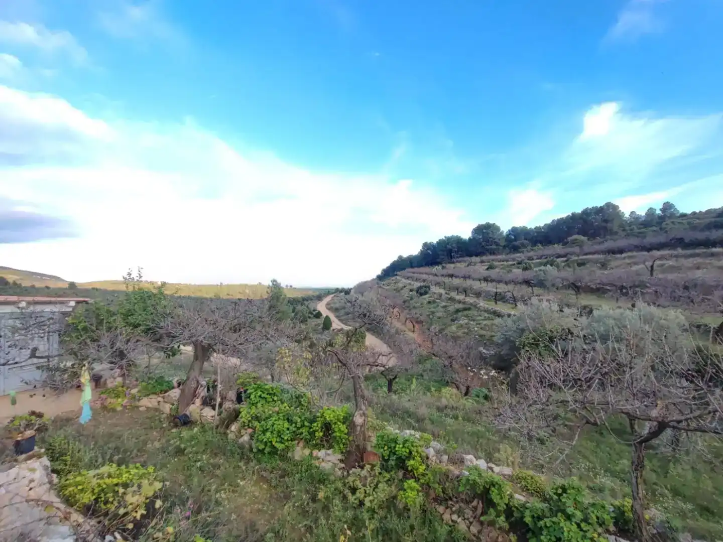 Casa o xalet en venda en Sierra Engarcerán amb Balcó