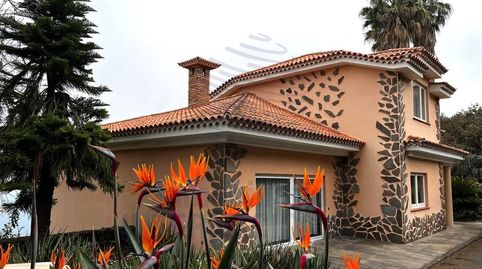 Foto 5 de Finca rústica en venta en Camino Cañeño, La Perdoma - San Antonio - Benijos, La Orotava