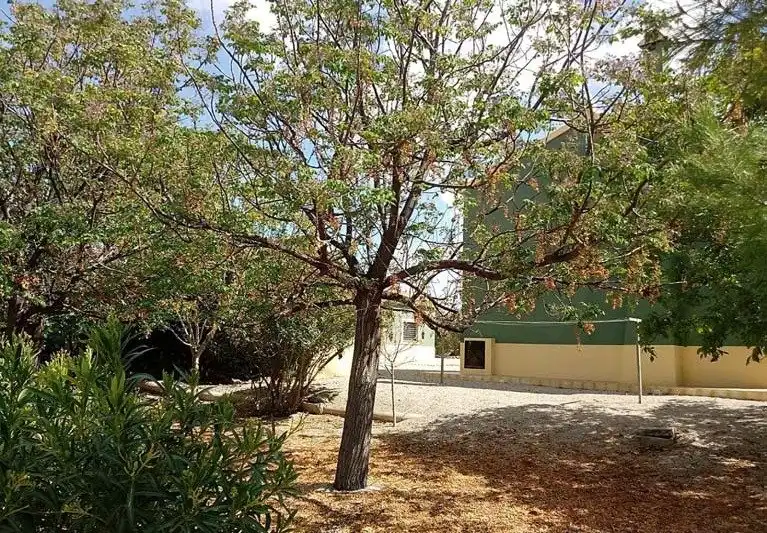 Casa rústica con jardín en venta en Pedanías Norte, imagen 7