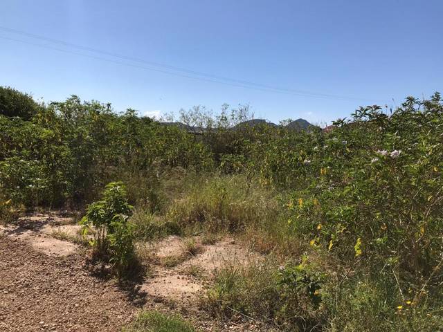 Edificio en Venta en Lg Los Nietos Viejos en Los Nietos