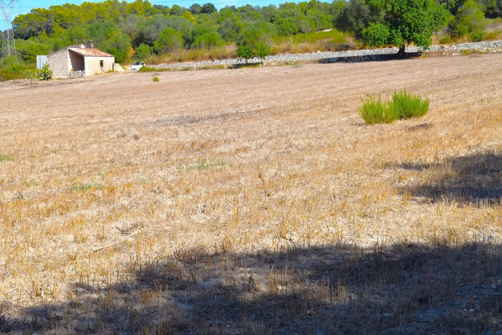 Terreny residencial en venda a Llubí, imagen 6