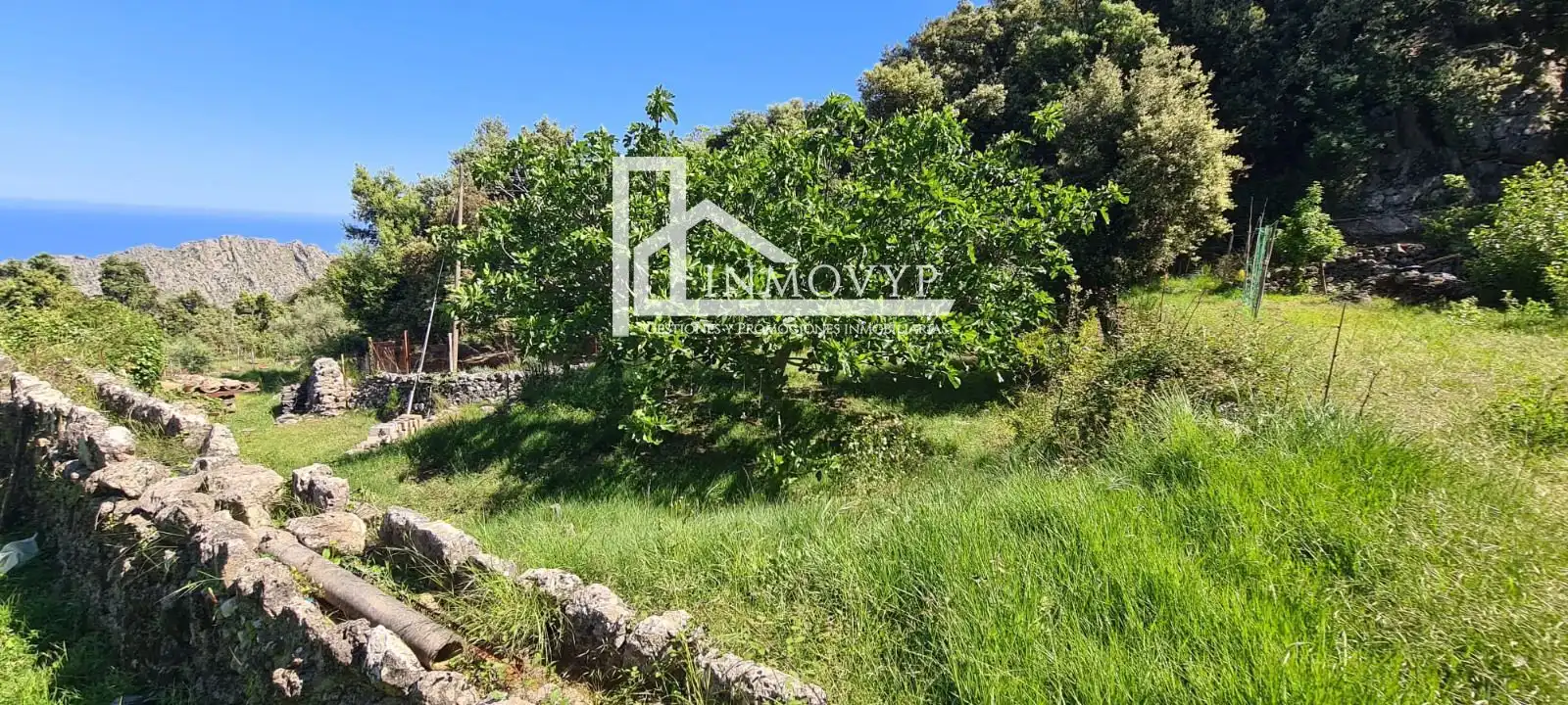 Finca rústica en venta en Escorca con Aire acondicionado y Amueblado
