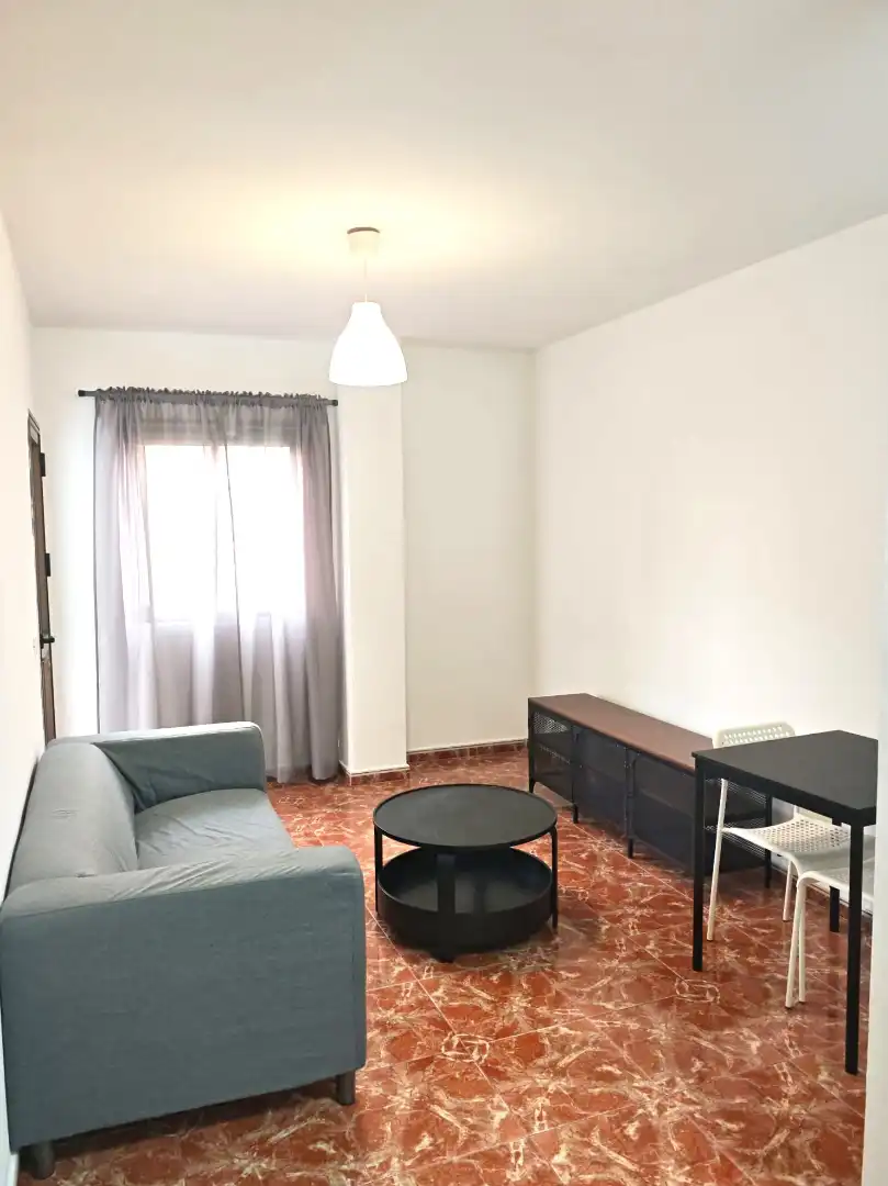 Sala d'estar de Pis de lloguer en Arona amb Moblat, Rentadora i Balcó
