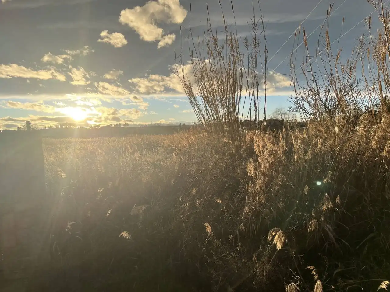 Grundstücke zur Miete in Alcañiz