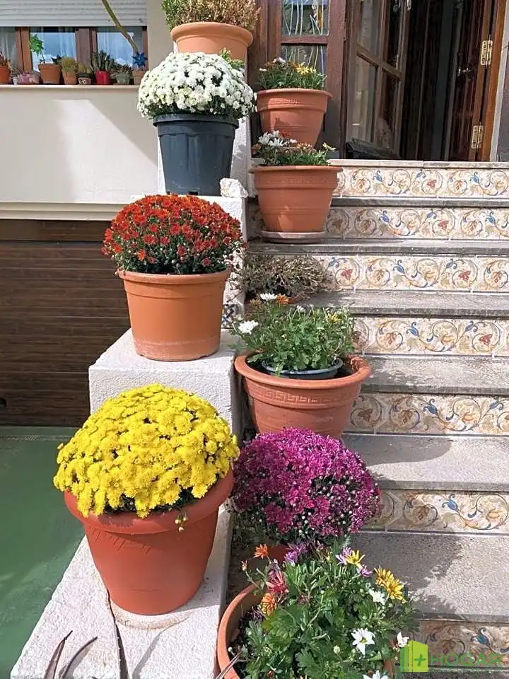 Casa adosada en venta en Jerez, 39, Jabalcuz