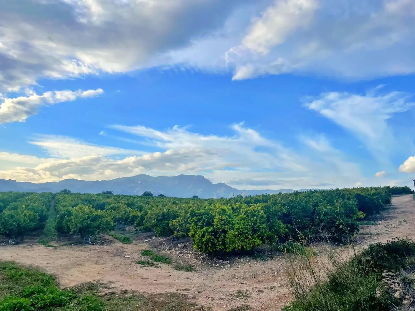 Casa o chalet en venta en Tortosa