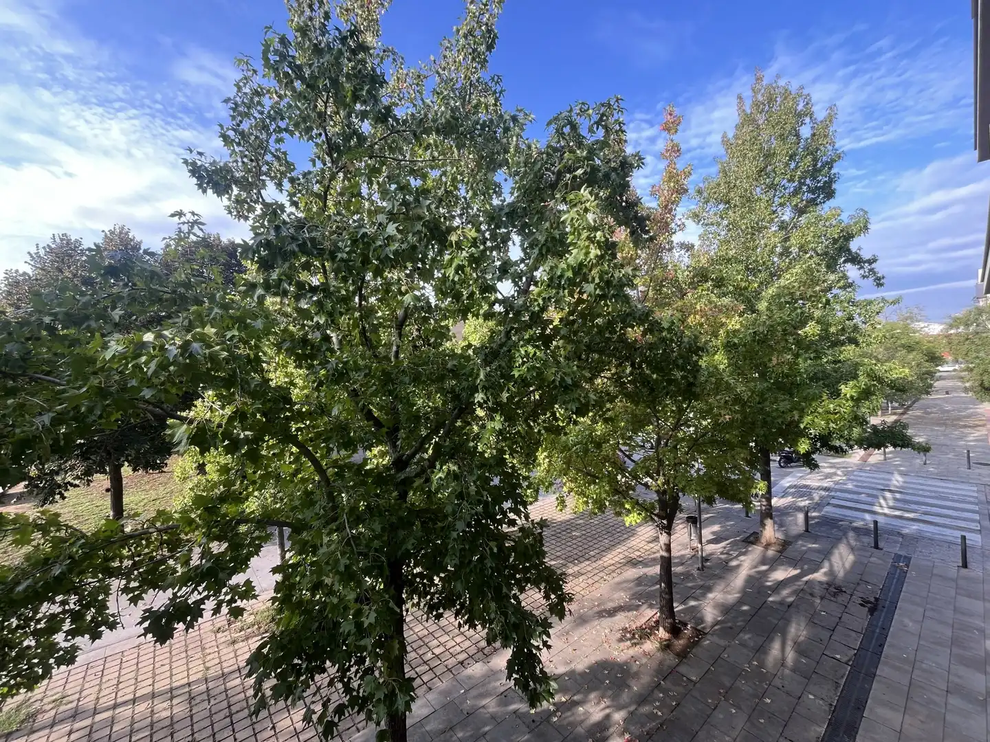 Wohnung mit Terrasse zum Verkauf in CELESTINA VIGNEAUX I CIBILS, imagen 3