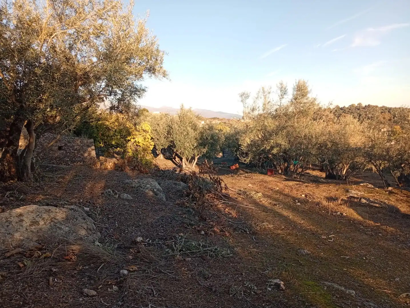 Terreni e lotti in vendita a Villanueva de la Vera, imagen 68