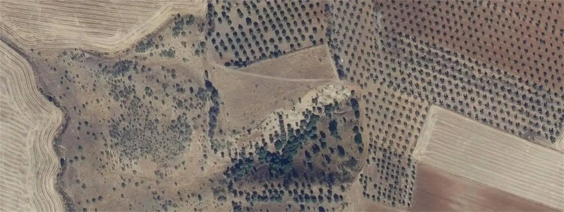Land for sale in San Bartolomé de las Abiertas