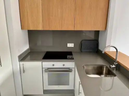 Unique properties with lift for sale in Centro, imagen 4