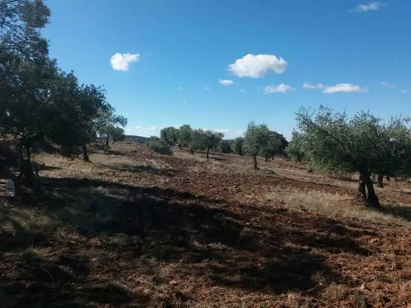Residential land for sale in Fuente Obejuna, imagen 3