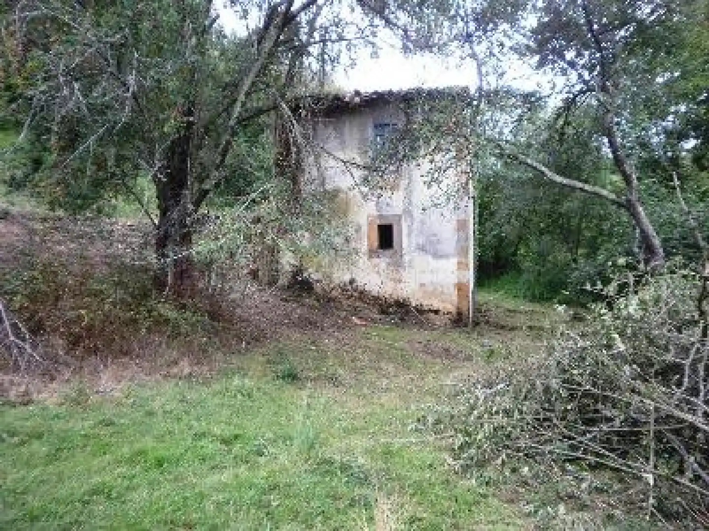 Houses for sale in Peñamellera Baja