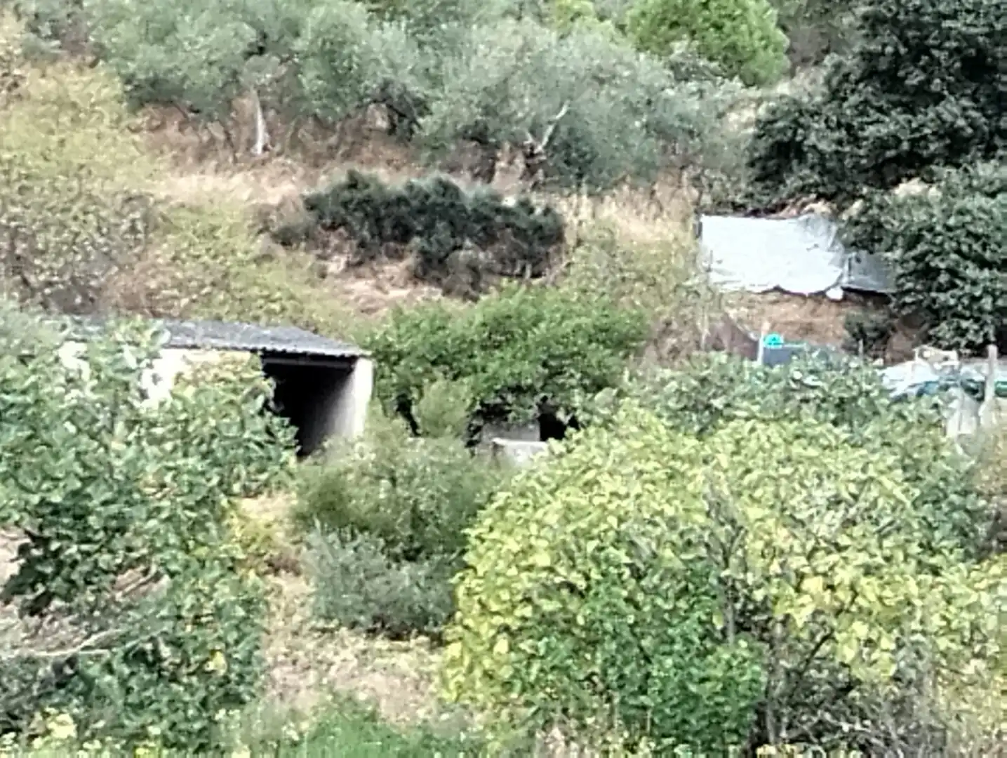 Casa o xalet en venda en Cáceres amb Aire condicionat, Jardí privat i Piscina