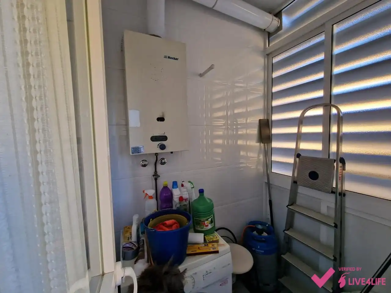 Piso de alquiler en El Plantinar – Avda. La Paz - El Juncal