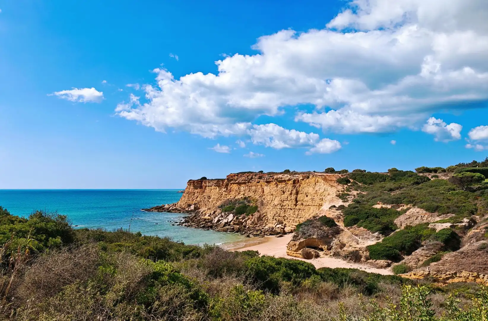 Vista exterior de Casa o xalet en venda en Conil de la Frontera