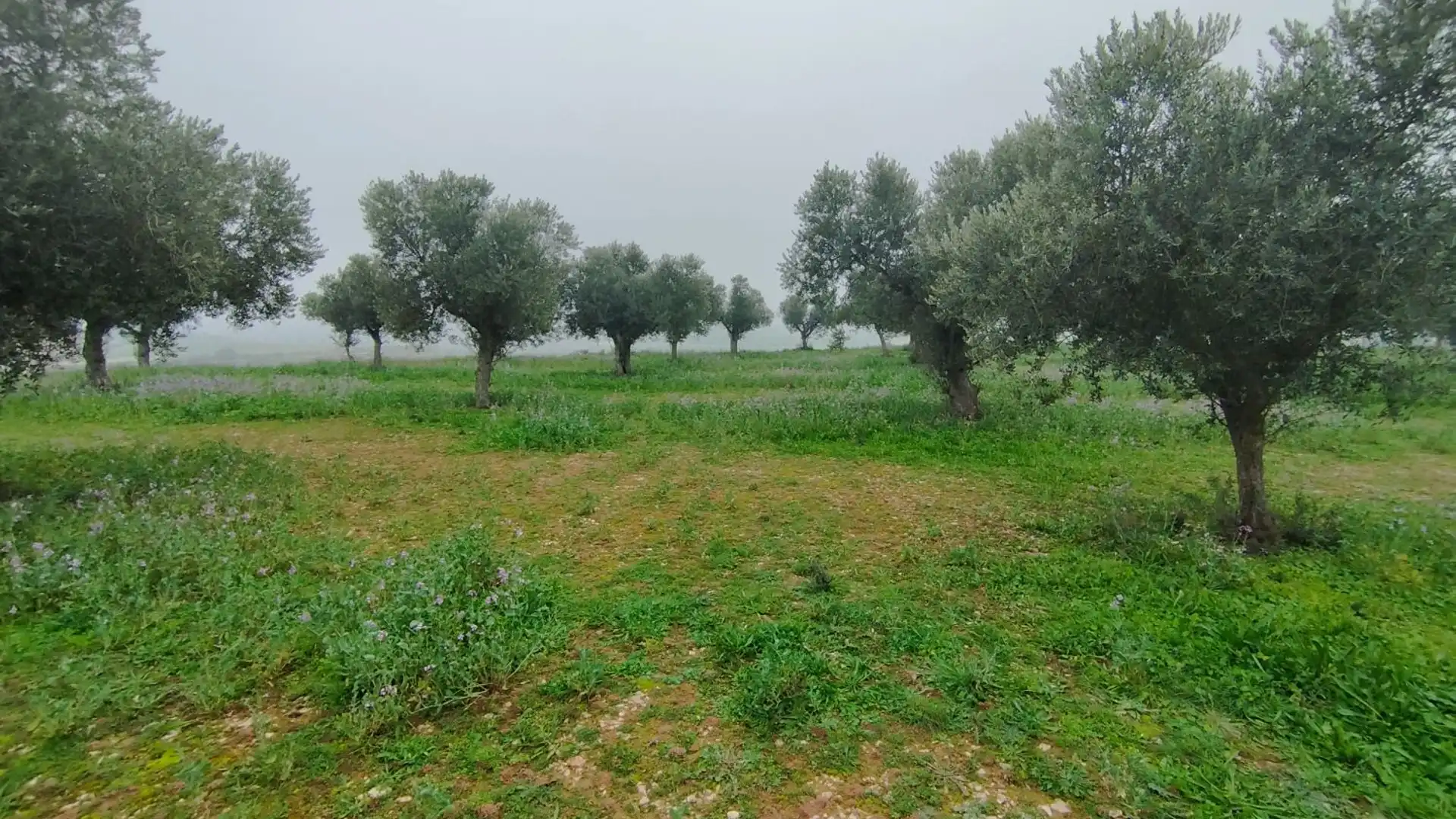 Finca rústica en venda en Aitona