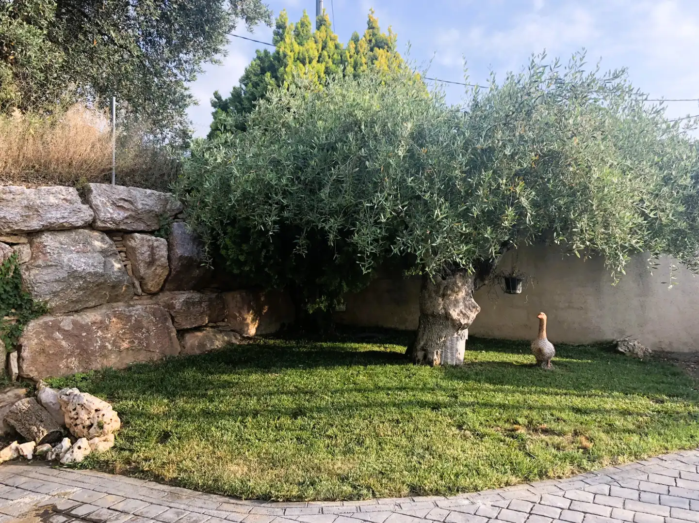 Xalet amb piscina en venda a Carrer Nesprer, imagen 14