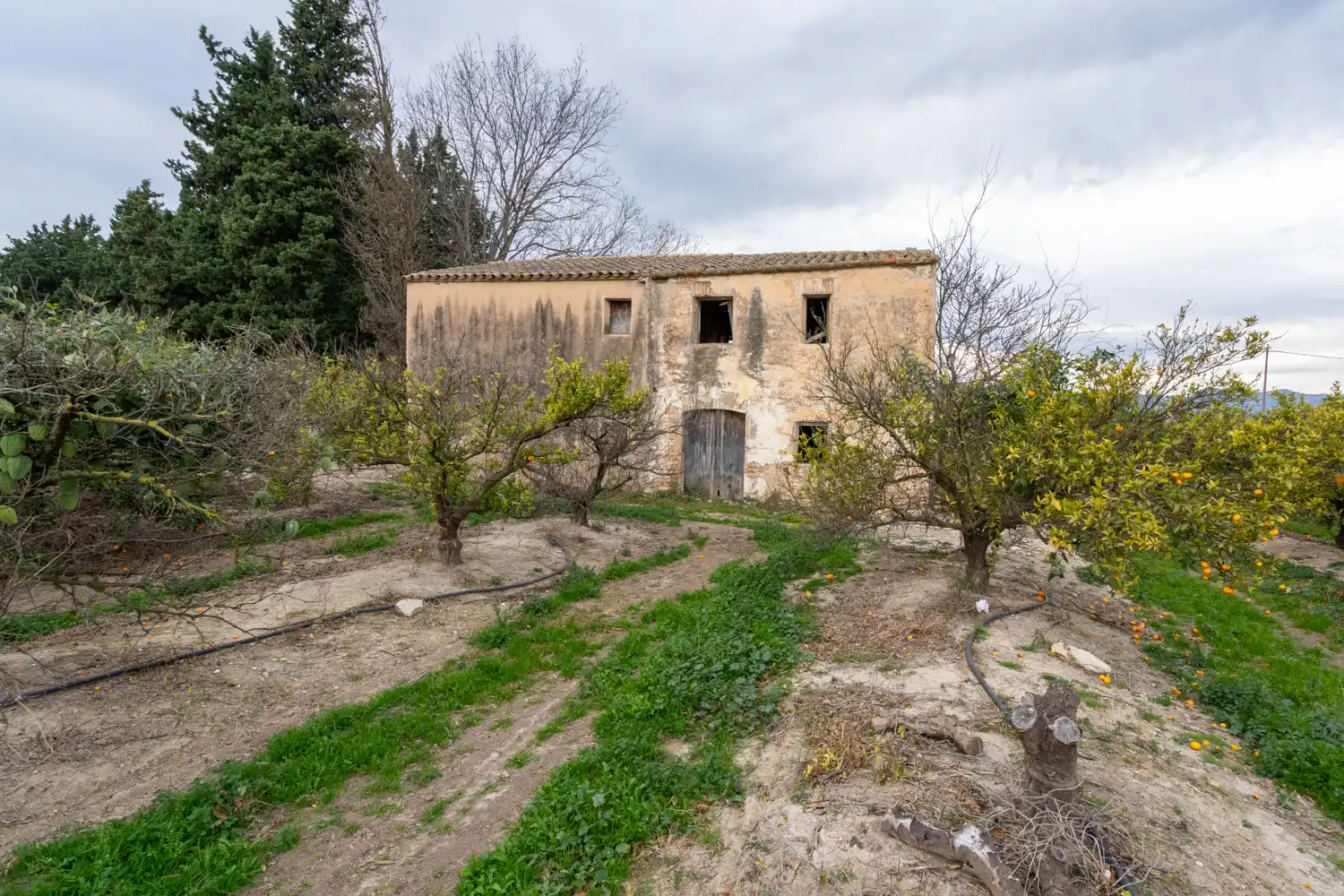 Terrain rustique à vendre à Partida Sant Bernabe 466, imagen 10