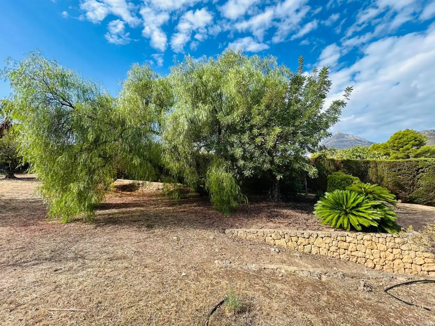 Xalet amb terrassa en venda a Montebello - Nou Espai, imagen 4
