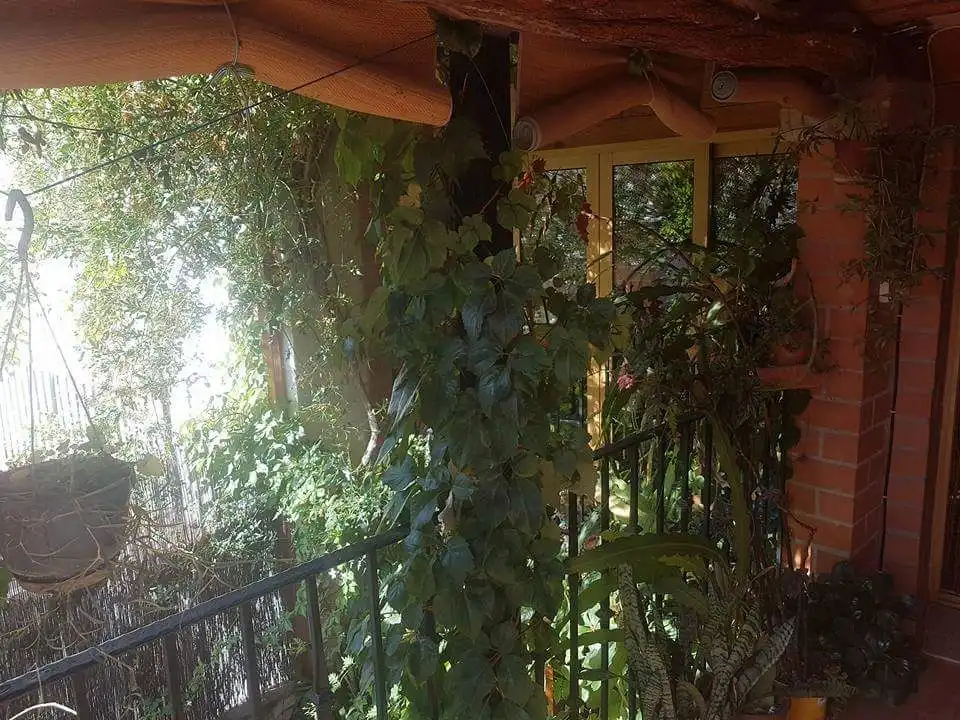 Terraza de Casa o chalet en venta en Ráfol de Salem con Aire acondicionado, Terraza y Amueblado