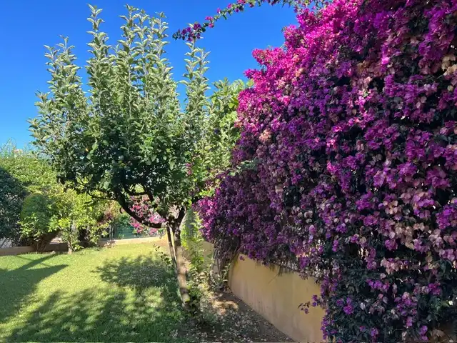 Villa avec terrasse à vendre à Camí de Cervera 156, imagen 16
