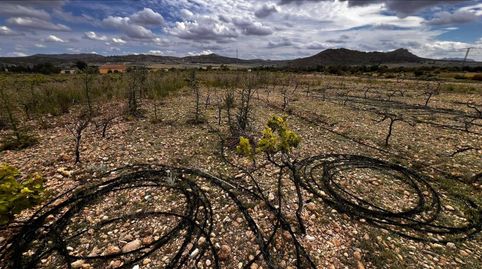 Finca Rustica en Caudete, immagine 4
