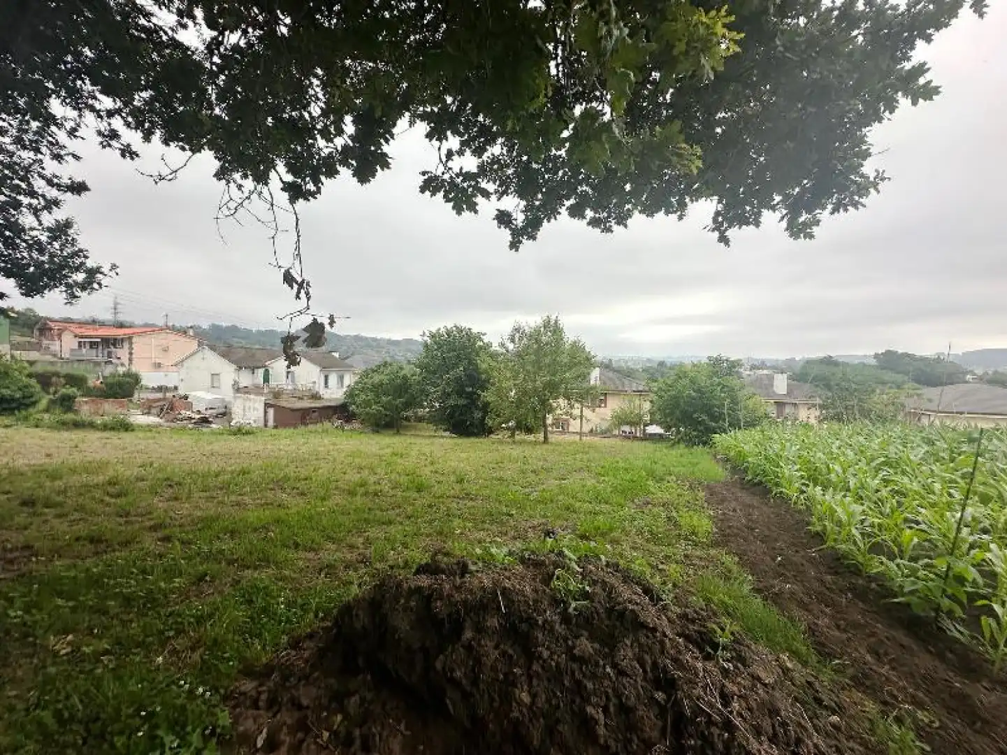 Land for sale in Reocín