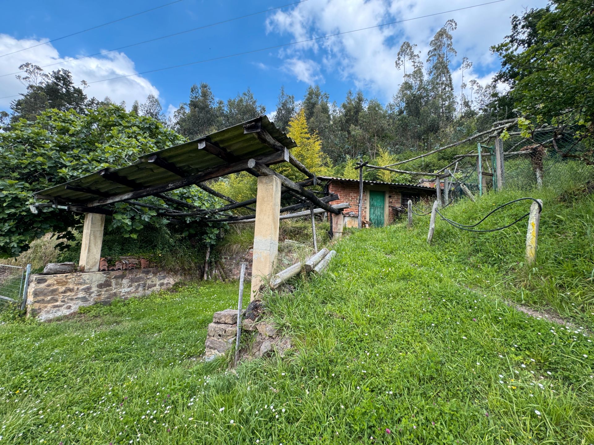 Exterior view of Land for sale in Candamo
