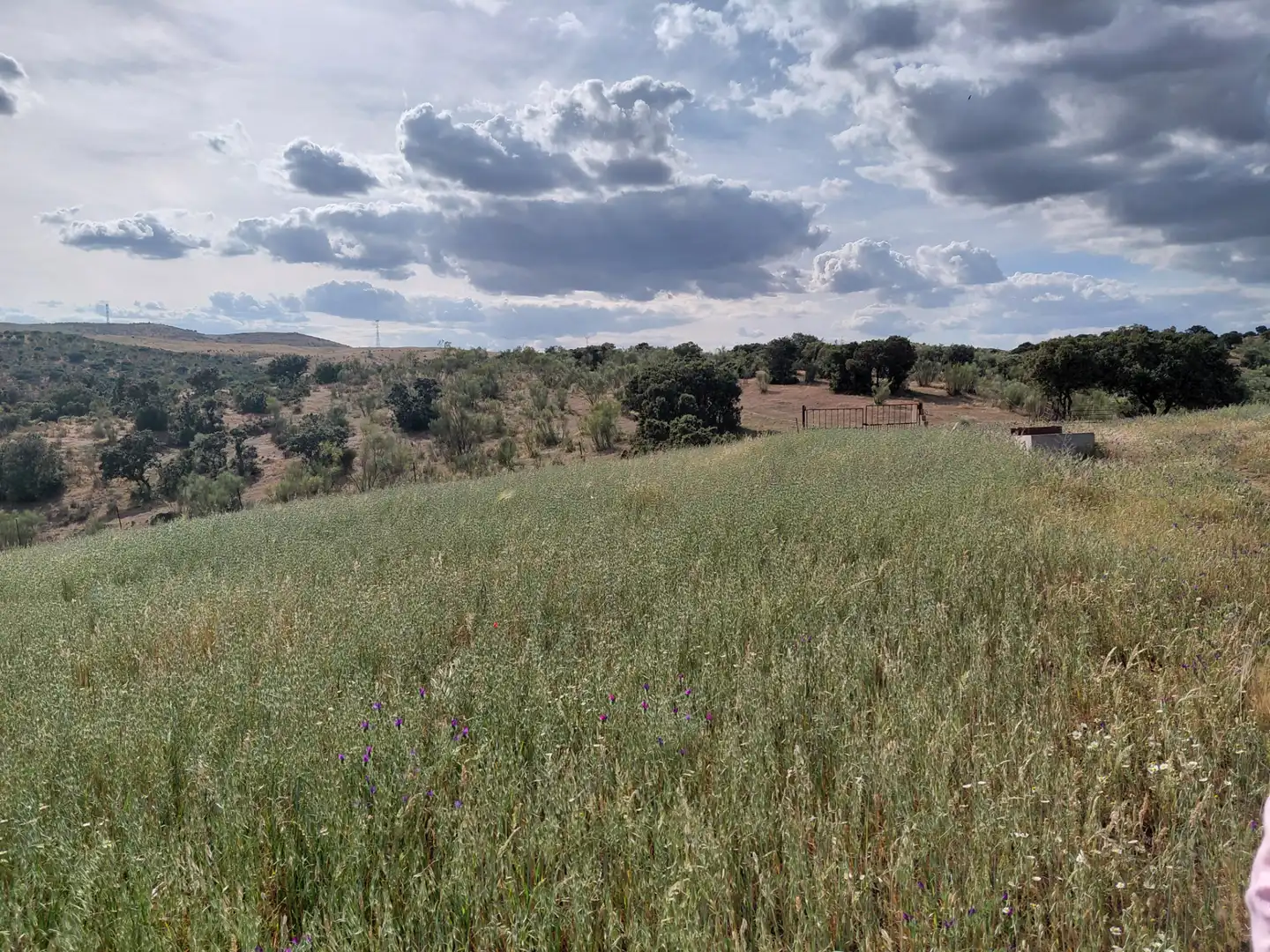 Finca rústica en venda en Fuente de Cantos amb Jardí privat, Forn i Rentadora