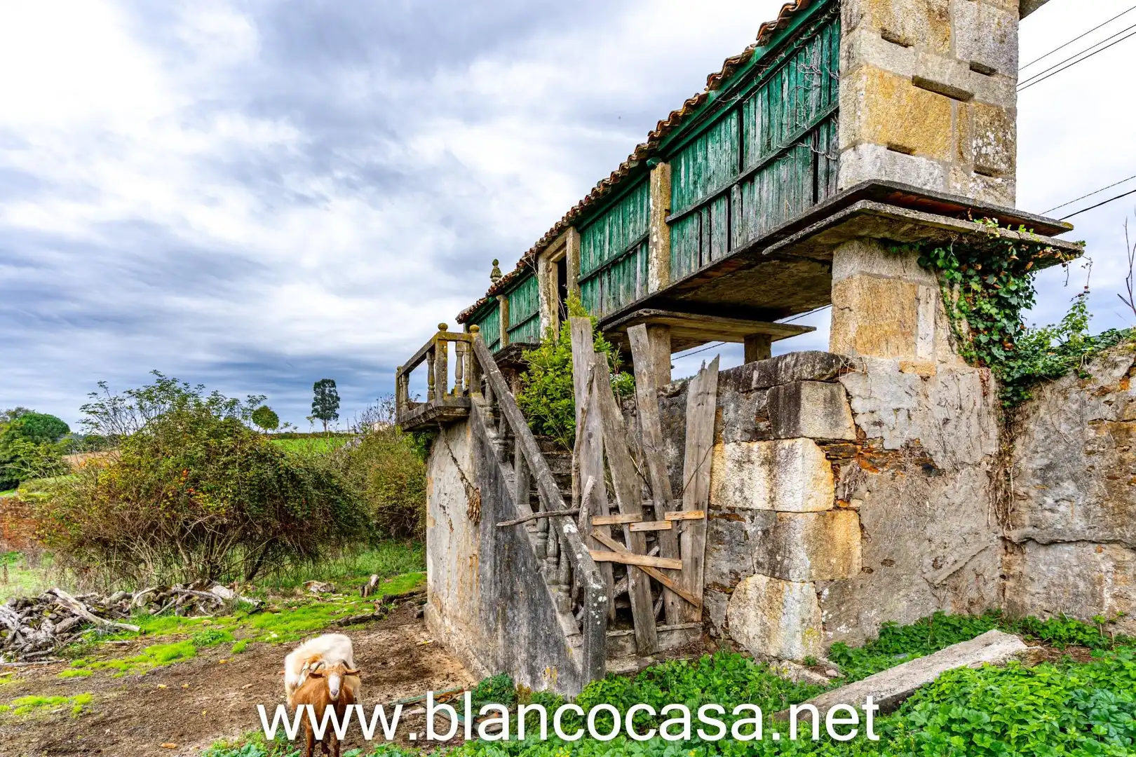 Vista exterior de Finca rústica en venta en Coristanco con Jardín privado