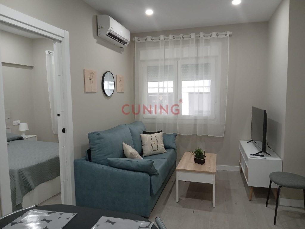 Loft to rent in N/A, Casco Antiguo
