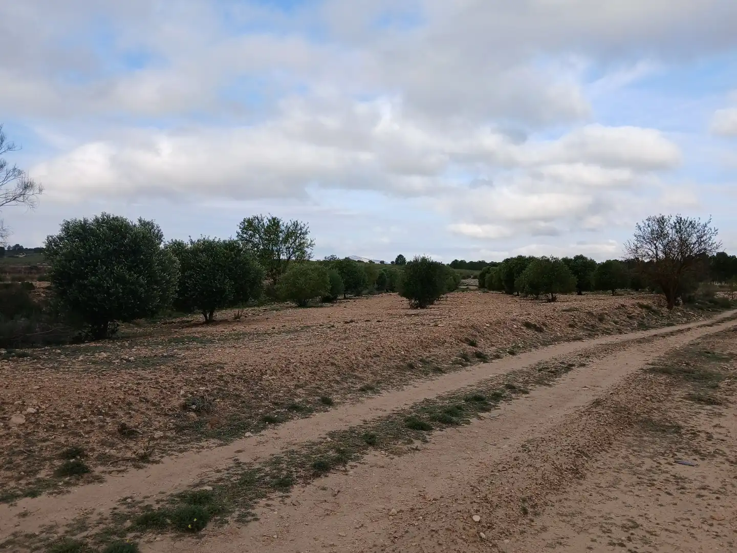 Residential land for sale in Yecla, imagen 7