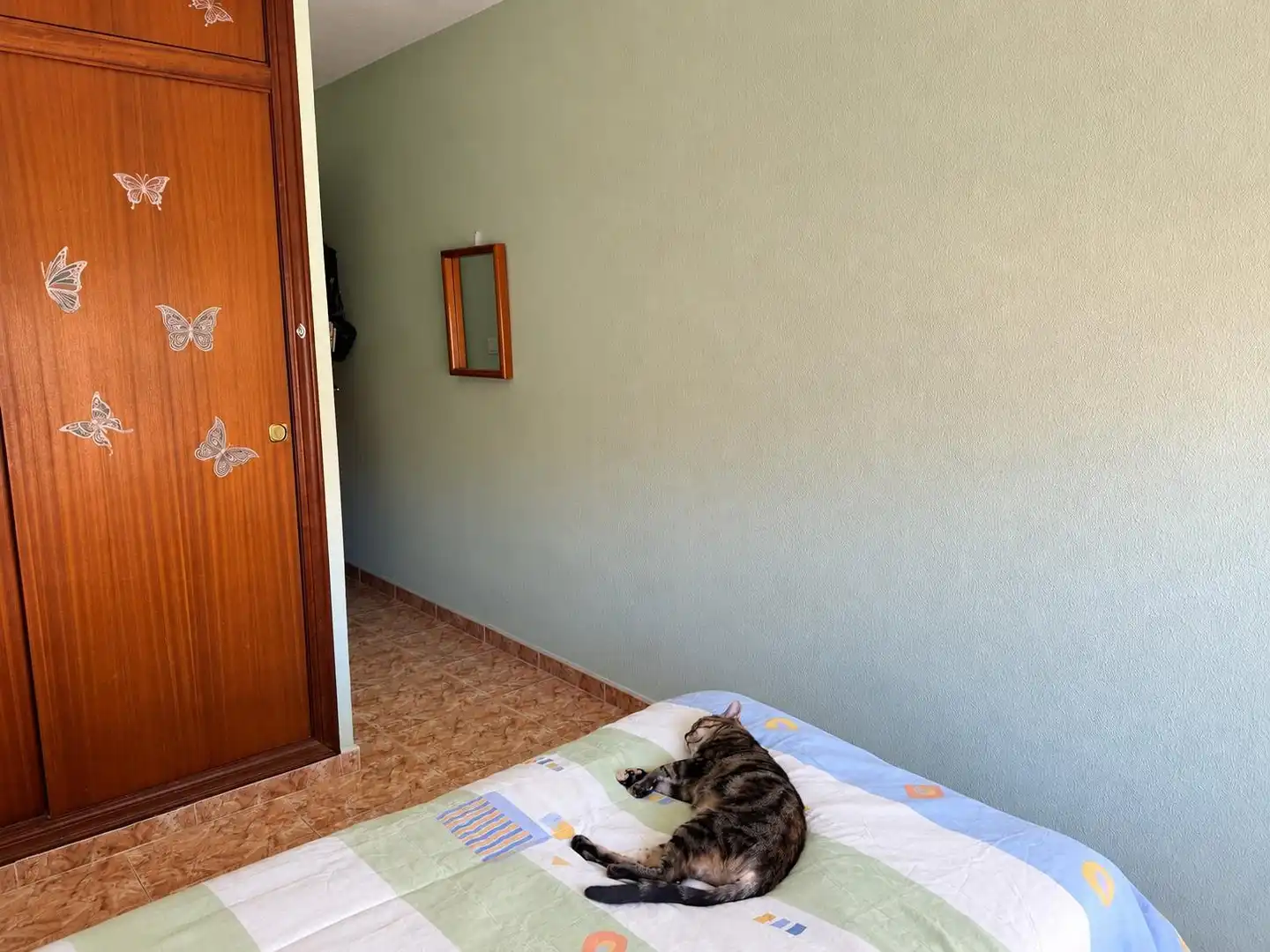 Wohnung mit Terrasse zum Verkauf in Platja de Vila Joiosa, imagen 13