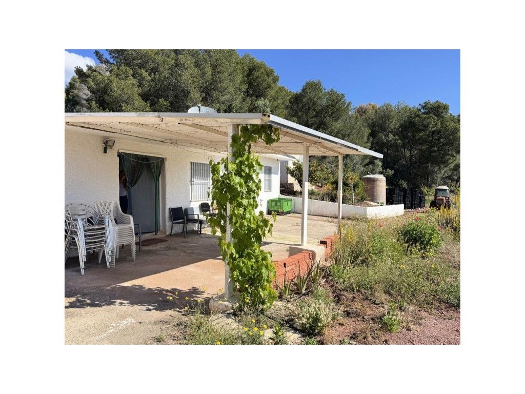 Garden of House or chalet for sale in Albalat dels Tarongers