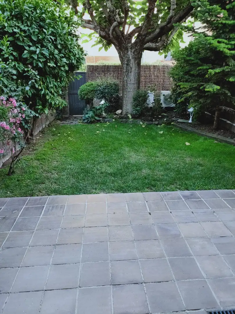 Detached homes for rent in L'Eixample