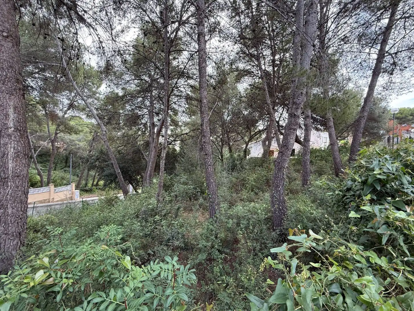 Residential land for sale in La Móra, imagen 3