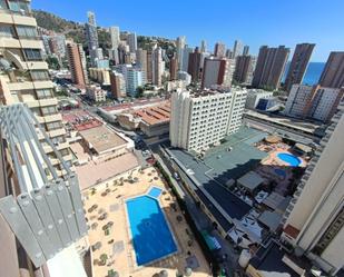 Vista exterior de Estudi en venda en Benidorm amb Aire condicionat i Terrassa