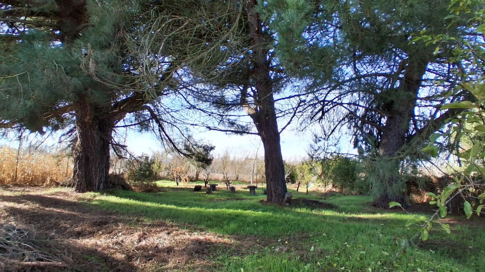 Finca rústica en venta en Almenara de Tormes