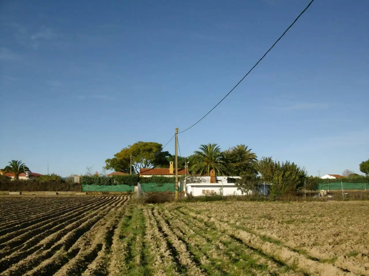 Terreni e lotti in vendita a Villanueva de la Serena, imagen 3