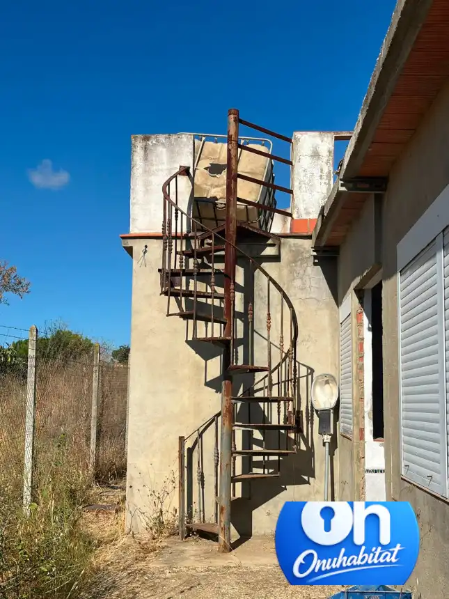 Vista exterior de Casa o chalet en venta en Moguer con Jardín privado y Amueblado