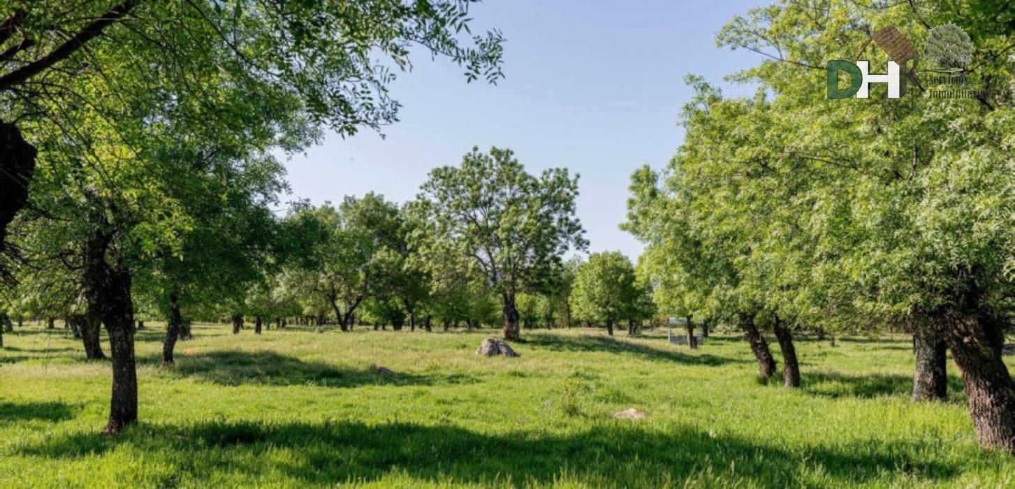 Residencial en venda en  Madrid Capital