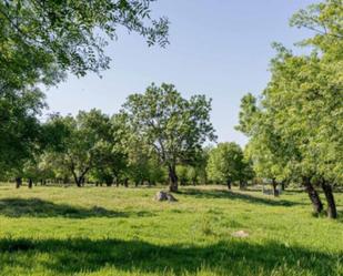 Residencial en venda en  Madrid Capital