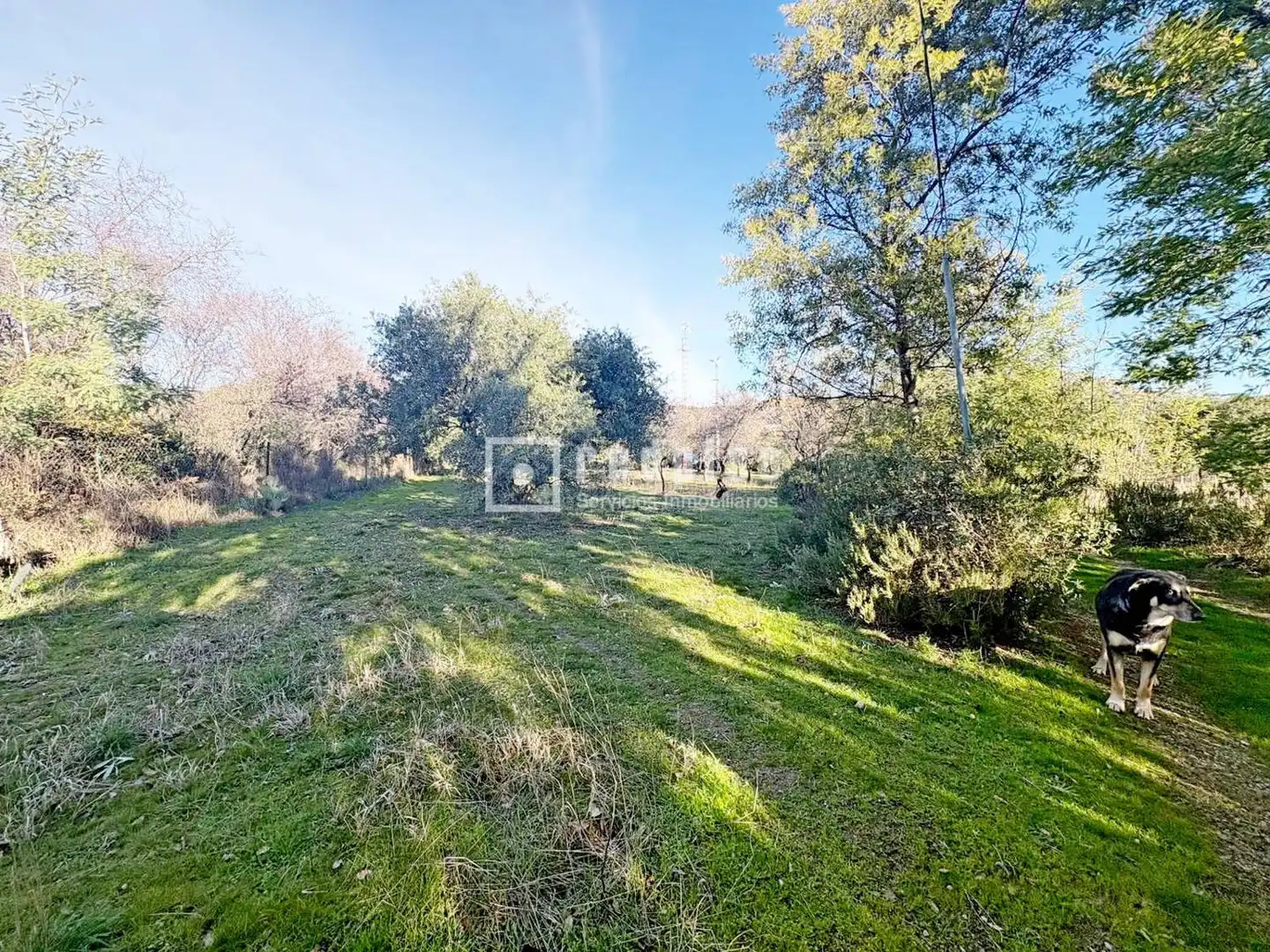 Casa amb jardí en venda a Diseminados, imagen 26