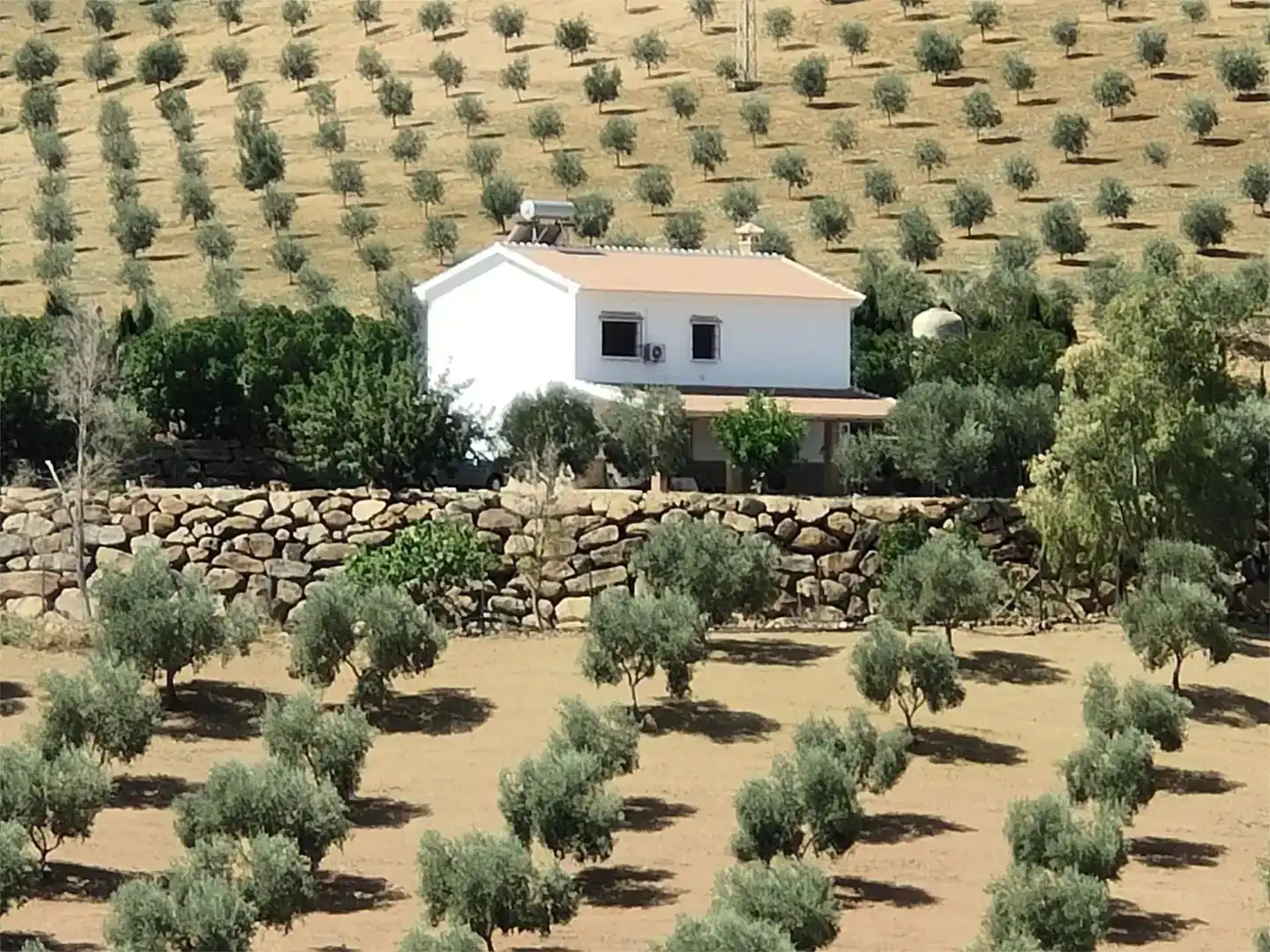 Vista exterior de Finca rústica en venda en Valle de Abdalajís amb Aire condicionat i Piscina