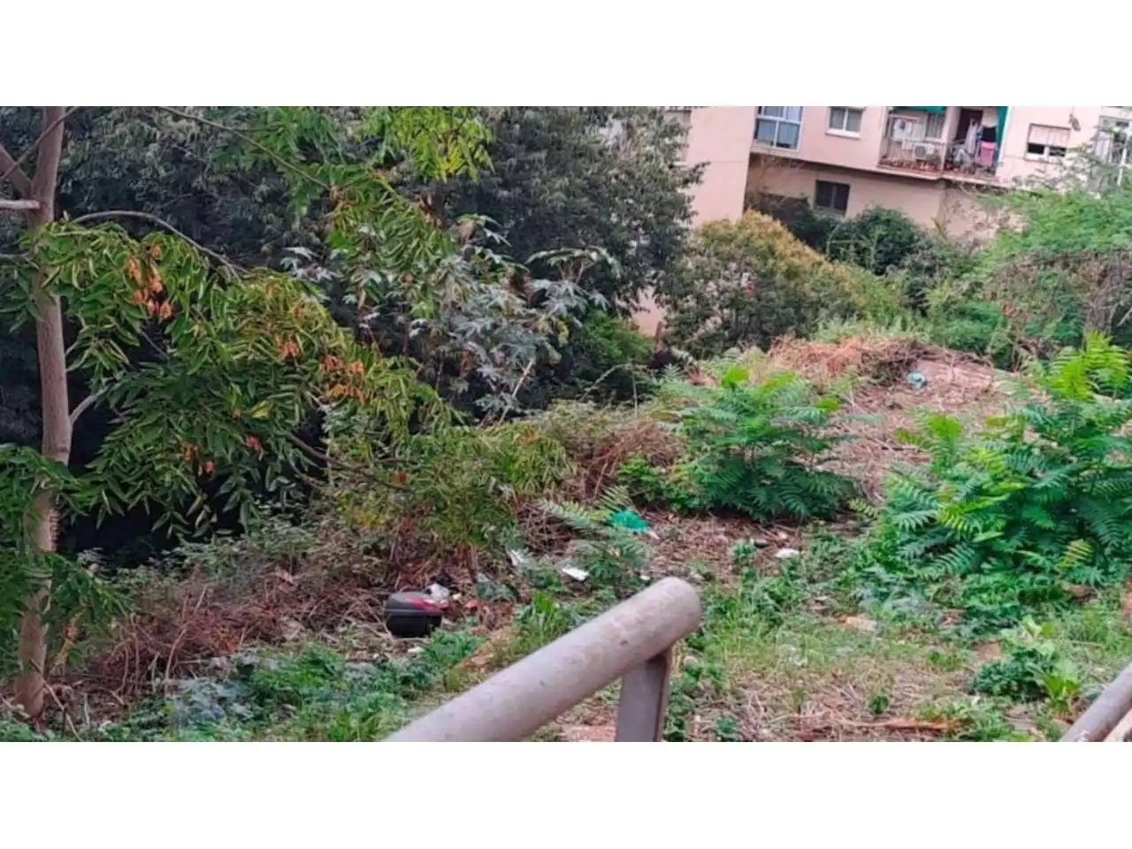 Terreno rústico en venta en Calle Agudells, imagen 3