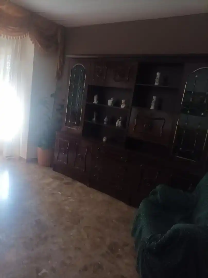 Living room of Flat for rent in Navas de San Juan  with Furnished, Oven and Washing machine