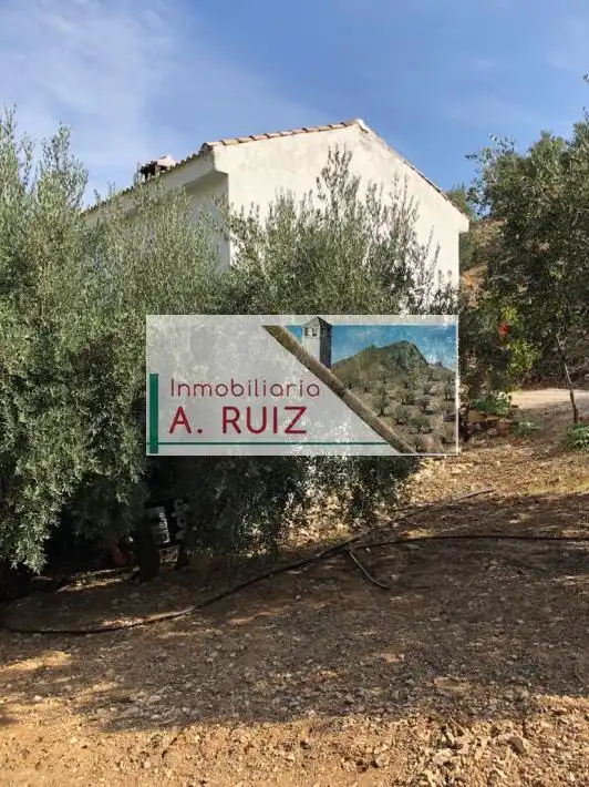 Terreny rústic en venda a Priego de Córdoba, imagen 4