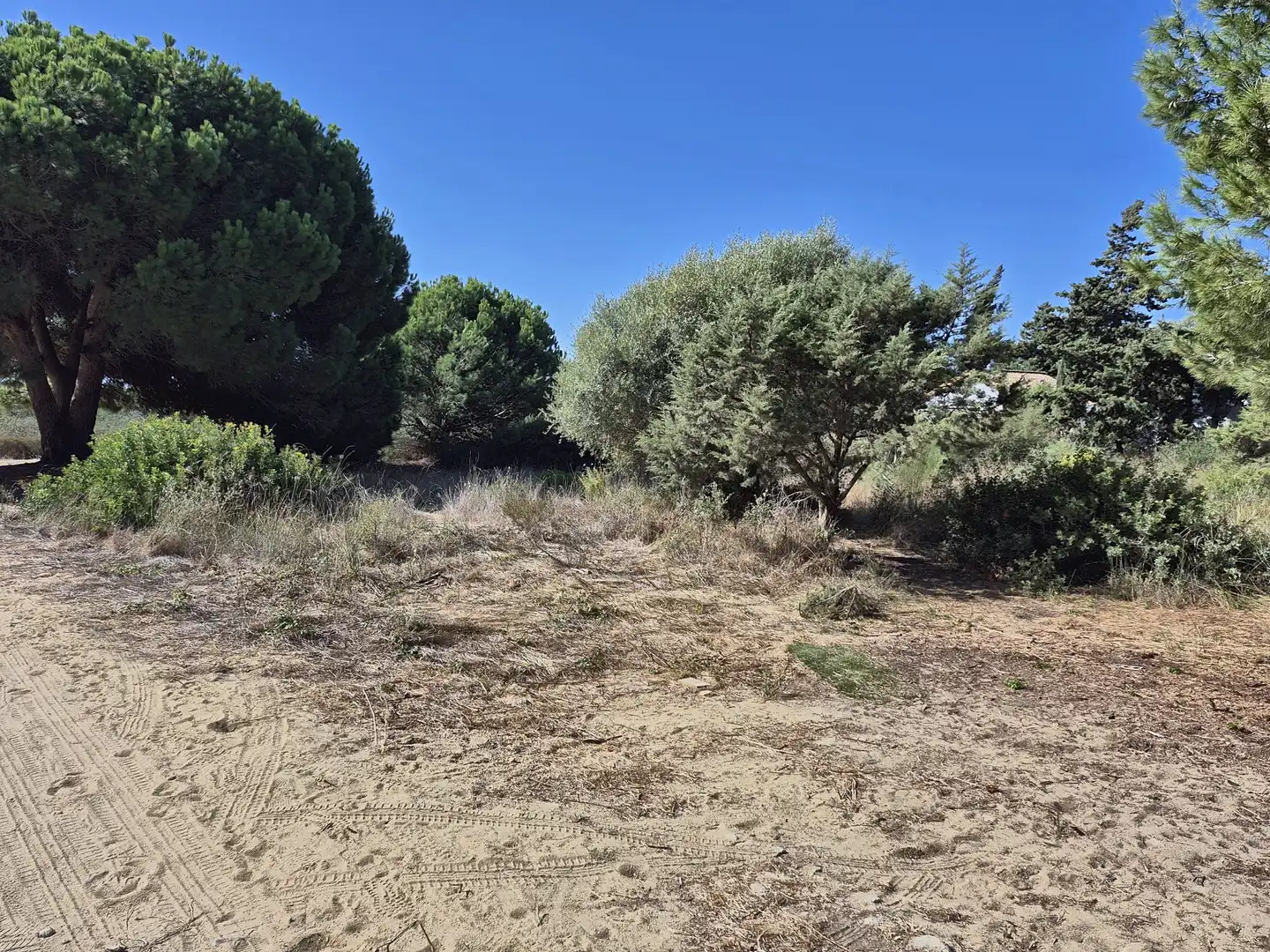 Terrenys i solars en venda a Los Caños de Meca