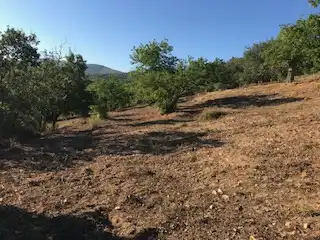Terreni e lotti in vendita a Cortegana, imagen 18