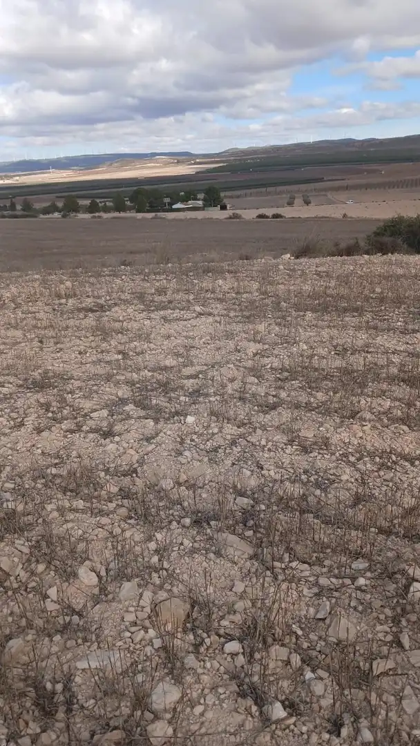 Residential land for sale in Yecla, imagen 20